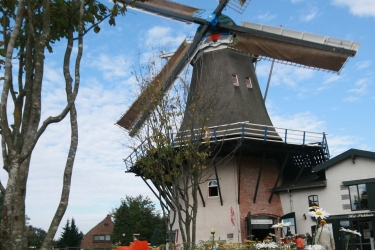 Vier dagen meters maken voor vloer Molen “De Koe”